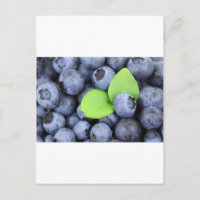 Blue Berries Fruit Peace Kärlek Destiny Party Art