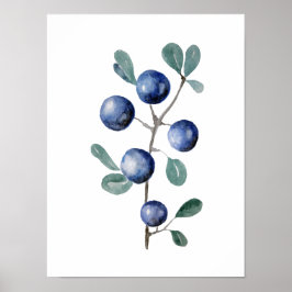 Blue Berries Fruit Watercolor Artwork Poster