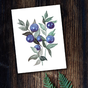 Blue Berries Fruit Watercolor Artwork Vykort