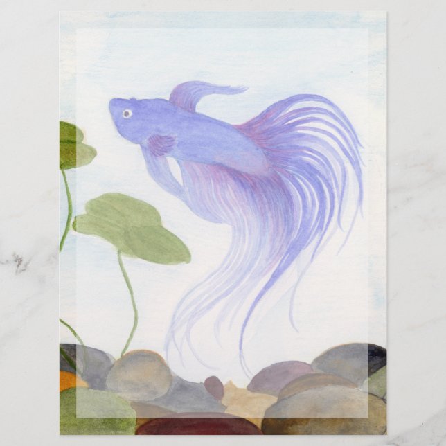 Blue Betta Fish (Framsida)