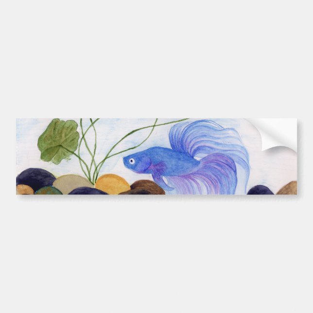 Blue Betta Fish Bildekal (Framsidan)