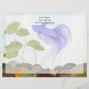 Blue Betta Fish Brevhuvud