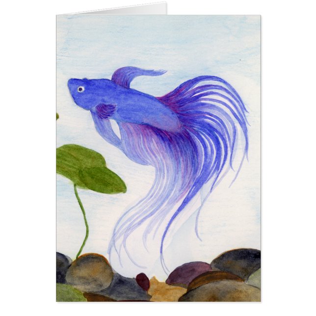 Blue Betta Fish Hälsningskort (Framsidan)
