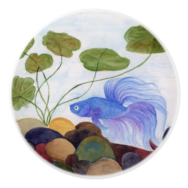 Blue Betta Fish Knopp (Framsidan)