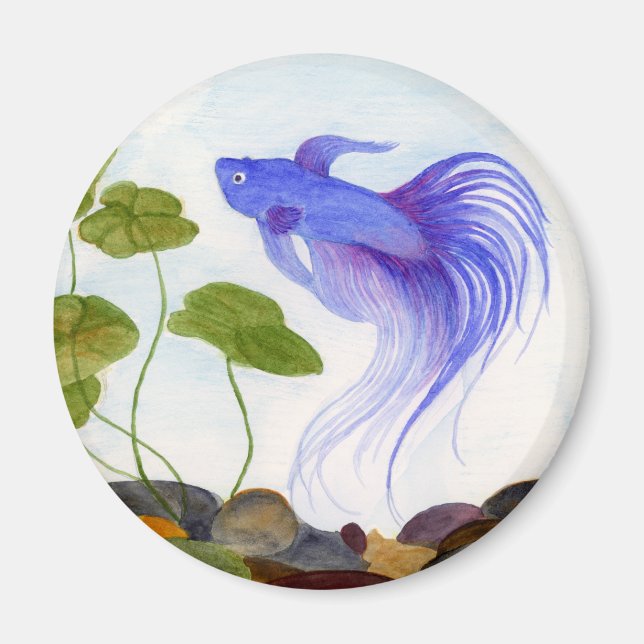 Blue Betta Fish Magnet (Framsidan)