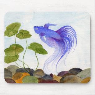 Blue Betta Fish Musmatta