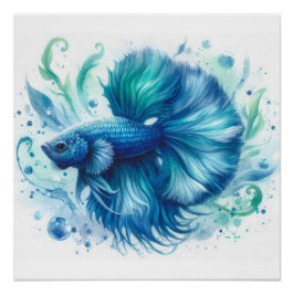 Blue Betta Fish no 1 Glossy Poster Perfect Poster
