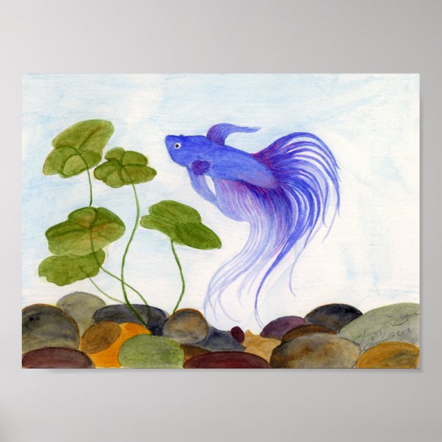 Blue Betta Poster (Framsidan)
