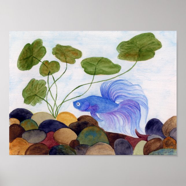 Blue Betta Poster (Framsidan)