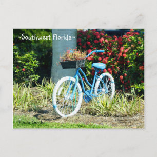 Blue Bicycle Southwest Florida Postcard Vykort