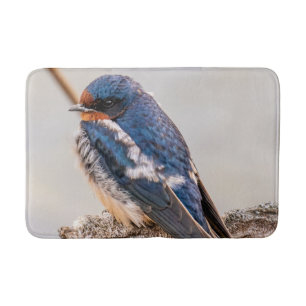 Blue Bird, Barn Sväljer, kanadensiska fotografier Badrumsmatta