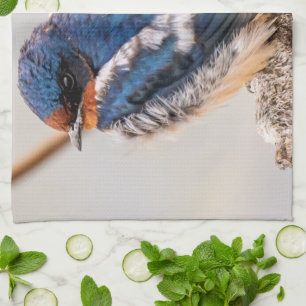 Blue Bird, Barn Sväljer, kanadensiska fotografier Kökshandduk