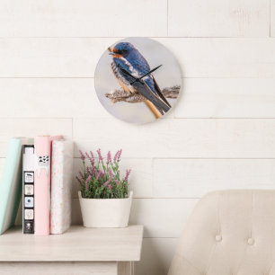 Blue Bird, Barn Sväljer, kanadensiska fotografier Stor Klocka