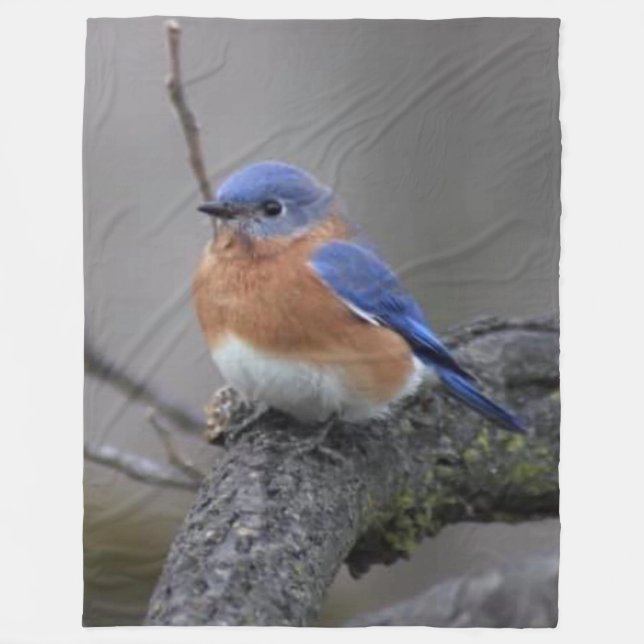 BLUE BIRD FLEECEFILT (Framsidan)