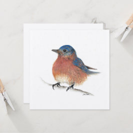 Blue Bird-kort Kort
