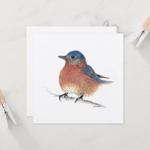 Blue Bird-kort Kort