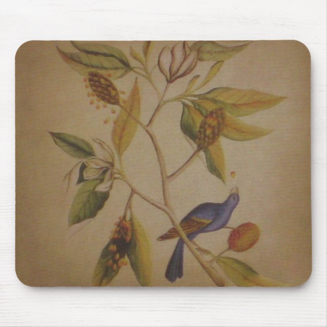 Blue Bird ~ Mousepad Musmatta (Framsidan)