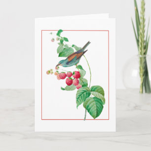 Blue Bird on a Raspberry Gren Kort