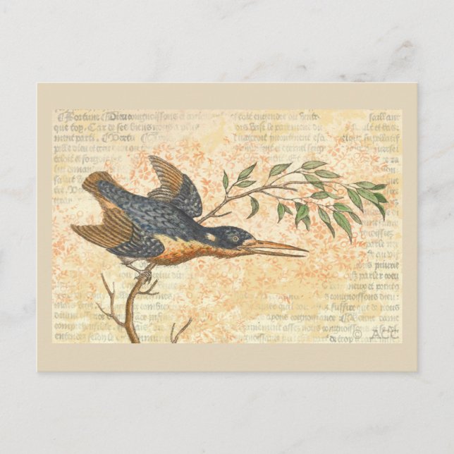 Blue Bird på Gren Vykort (Framsida)