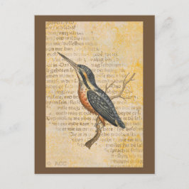 Blue Bird på Gren Vykort