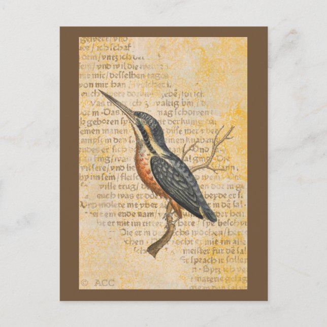 Blue Bird på Gren Vykort (Framsida)