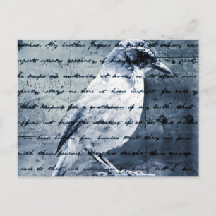 Blue Bird Sång Vykort