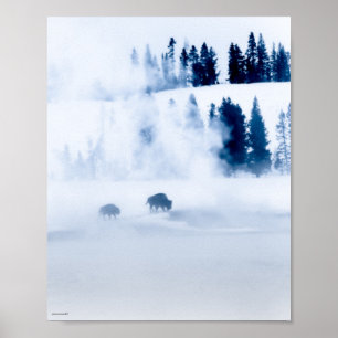 Blue Bison Poster