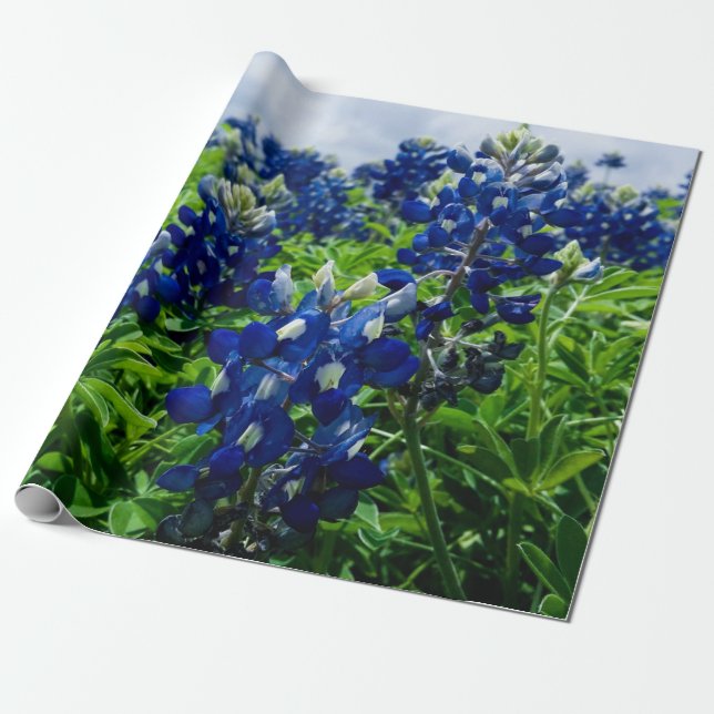 Blue Blommigt Texas Texan Elegant Presentpapper (Utrullad)