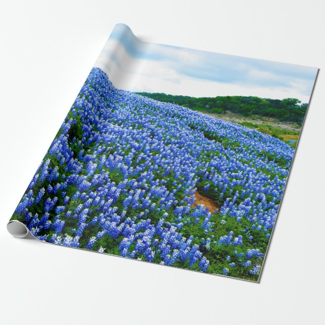Blue Blommigt Texas Texan Elegant Presentpapper (Utrullad)