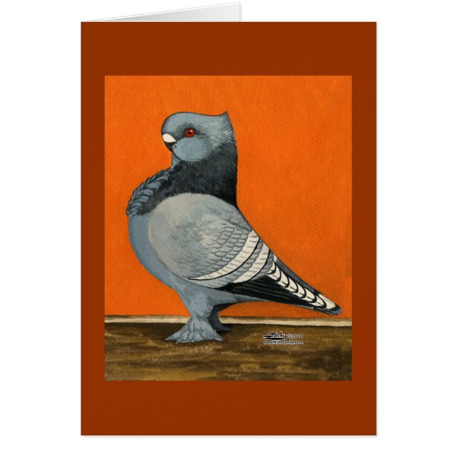 Blue Blondinette Pigeon OBS Kort (Framsidan)