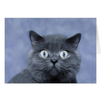 Blue Boy Hälsningskort