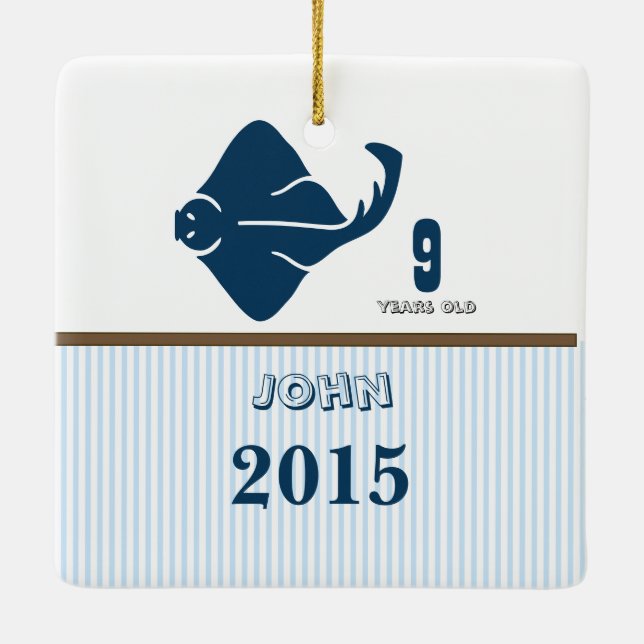 Blue & Brown Sting Ray Dot Rand Photo Ornament (Baksida)