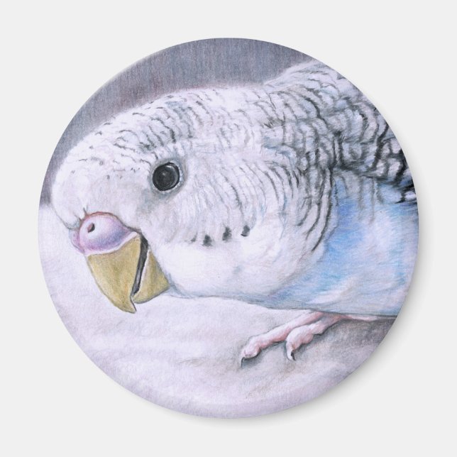 "Blue Budgie" Bird Art Magnet (Framsidan)