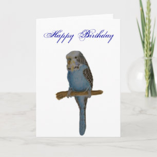 Blue Budgie Kort