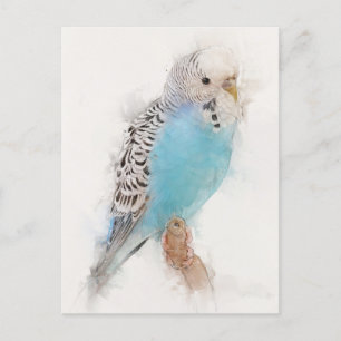 Blue Budgie Porträtt Vykort