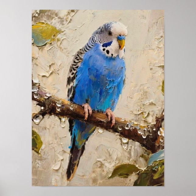 Blue Budgie Poster (Framsidan)