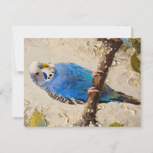 Blue Budgie Vykort