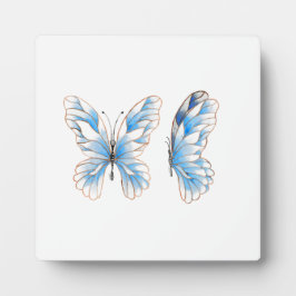 Blue Butterfly