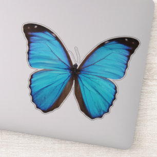 Blue Butterfly 1 Klistermärken
