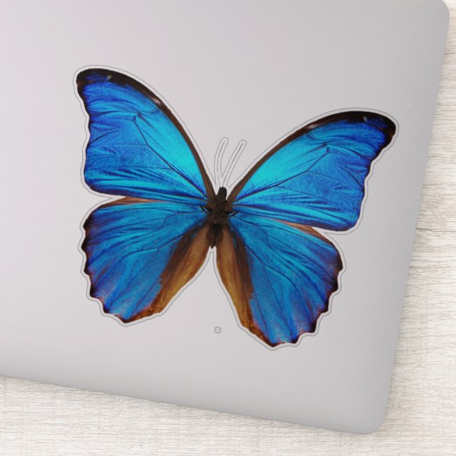 Blue Butterfly 2 Klistermärken (Detalj)