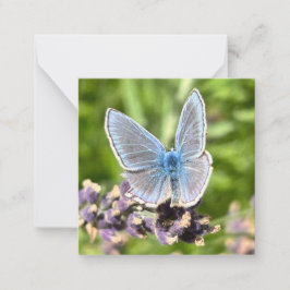 Blue Butterfly Anteckningskort