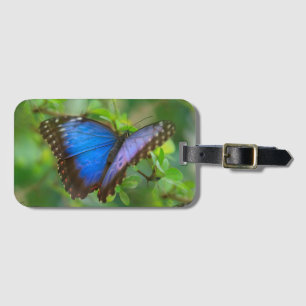 Blue Butterfly Bagagebricka