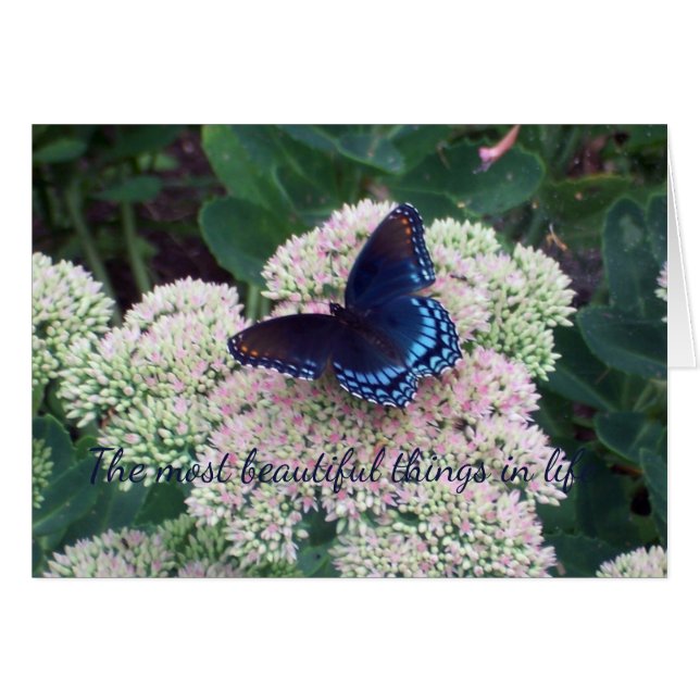 Blue Butterfly Hälsningskort (Framsidan Horizontal)
