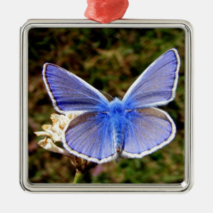 Blue Butterfly Julgransprydnad Metall