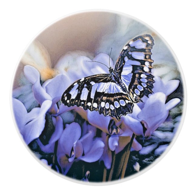 Blue Butterfly Knopp (Framsidan)