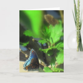Blue Butterfly Kort