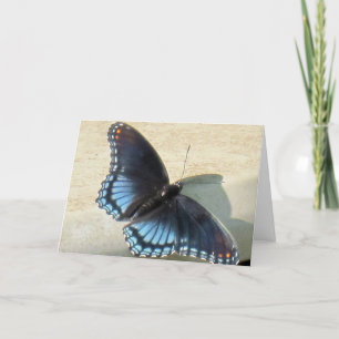Blue Butterfly Kort