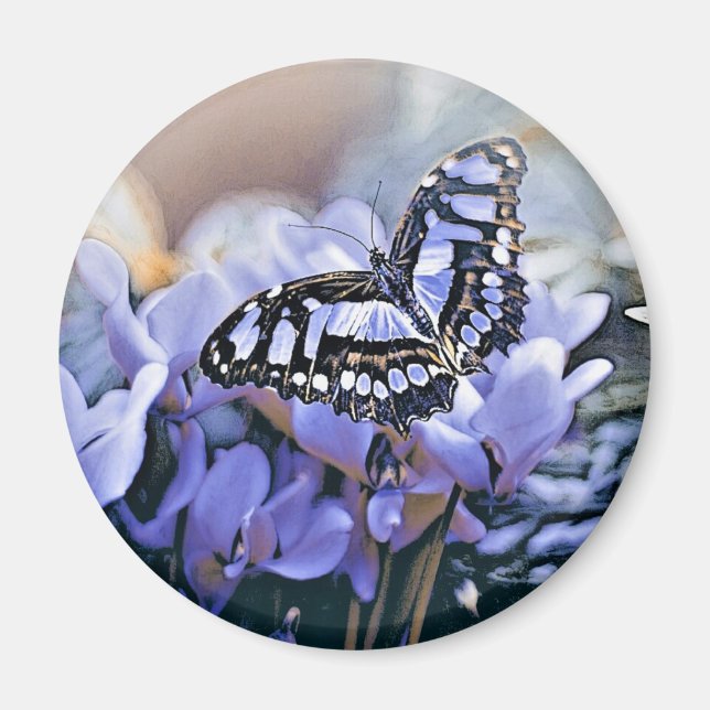 Blue Butterfly Magnet (Framsidan)