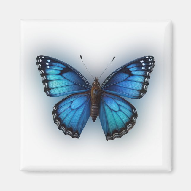 Blue Butterfly Magnet (Framsidan)