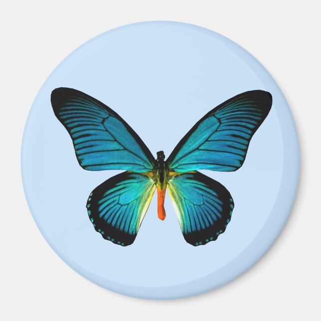 Blue Butterfly Magnet (Framsidan)